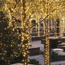 ZAYO LED STRING LIGHT WARM WHITE 50M