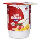 [0100003424] AL AIN STIRRED MANGO YGT 125GM