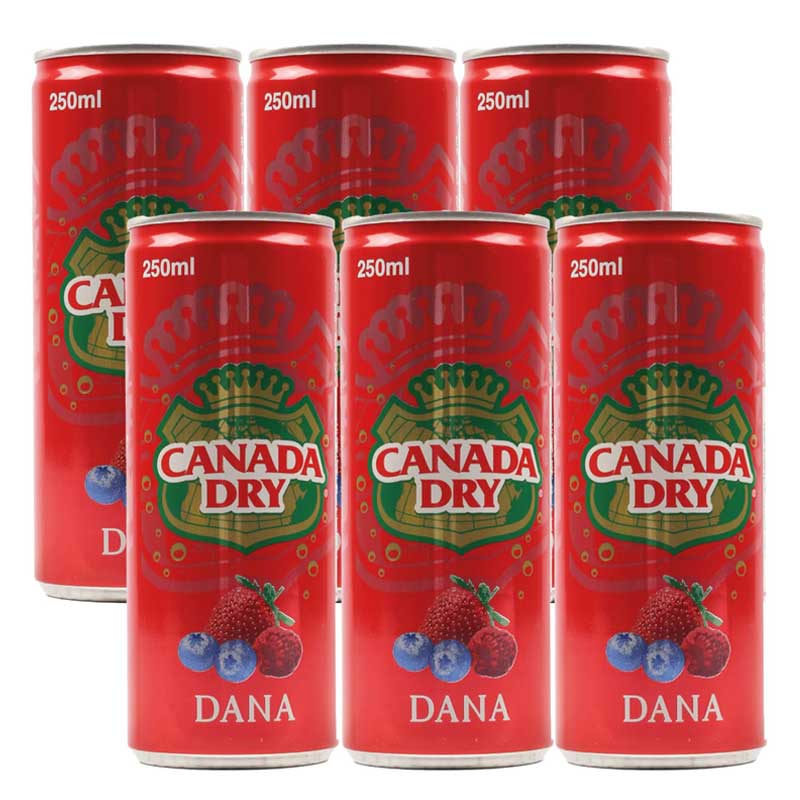 CANADA DRY DANA SODA 250ML