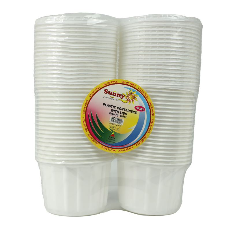 SUNNY PLASTIC CONTAINERS W/LIDS 2X500ML