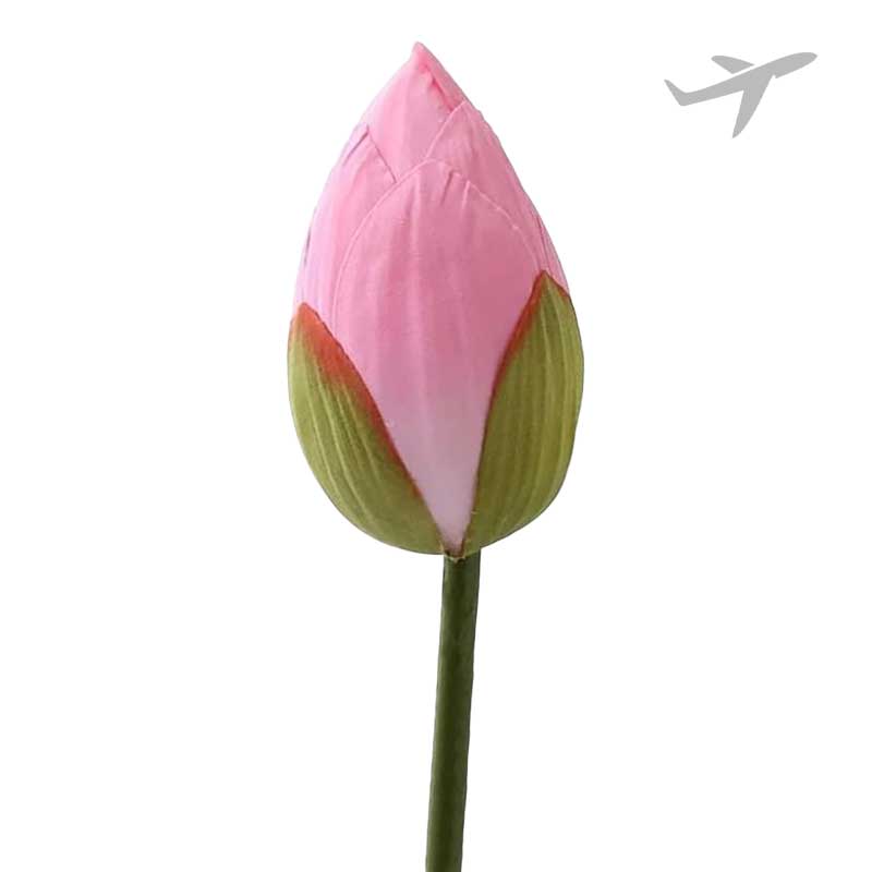 RUBA LOTUS 1PC