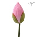 [0100026360] RUBA LOTUS 1PC