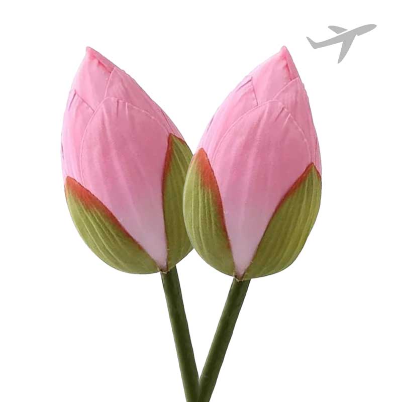 RUBA LOTUS 2PC
