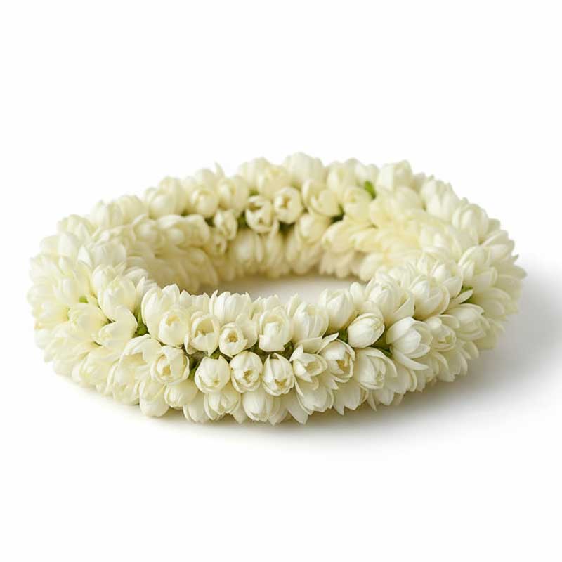 RUBA JASMINE BUNCH