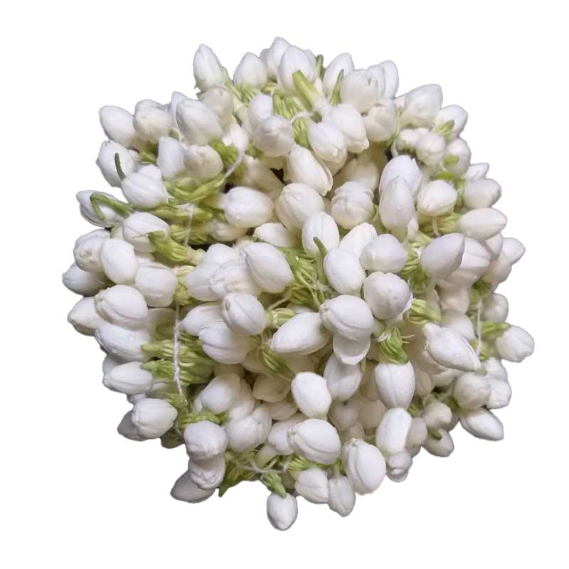 RUBA JASMINE FLOWER PKT