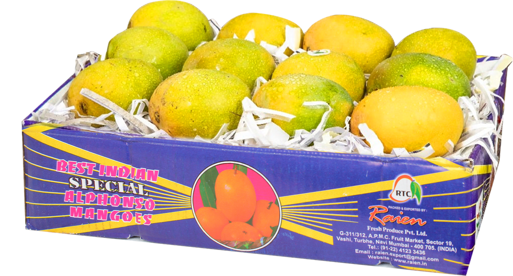 RTC ALPHONSO MANGO M 12PCS