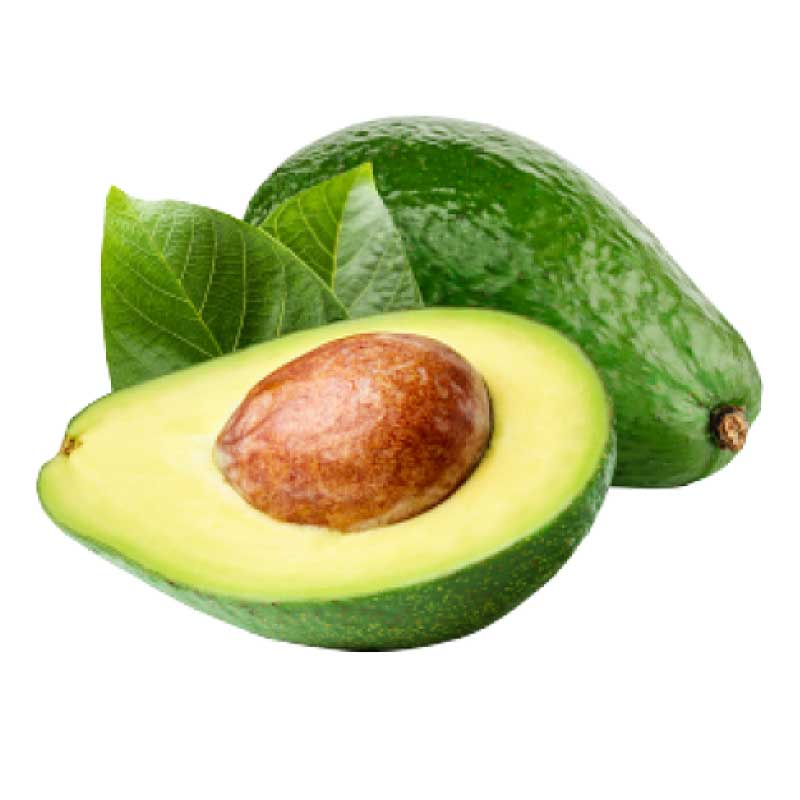 AVOCADO