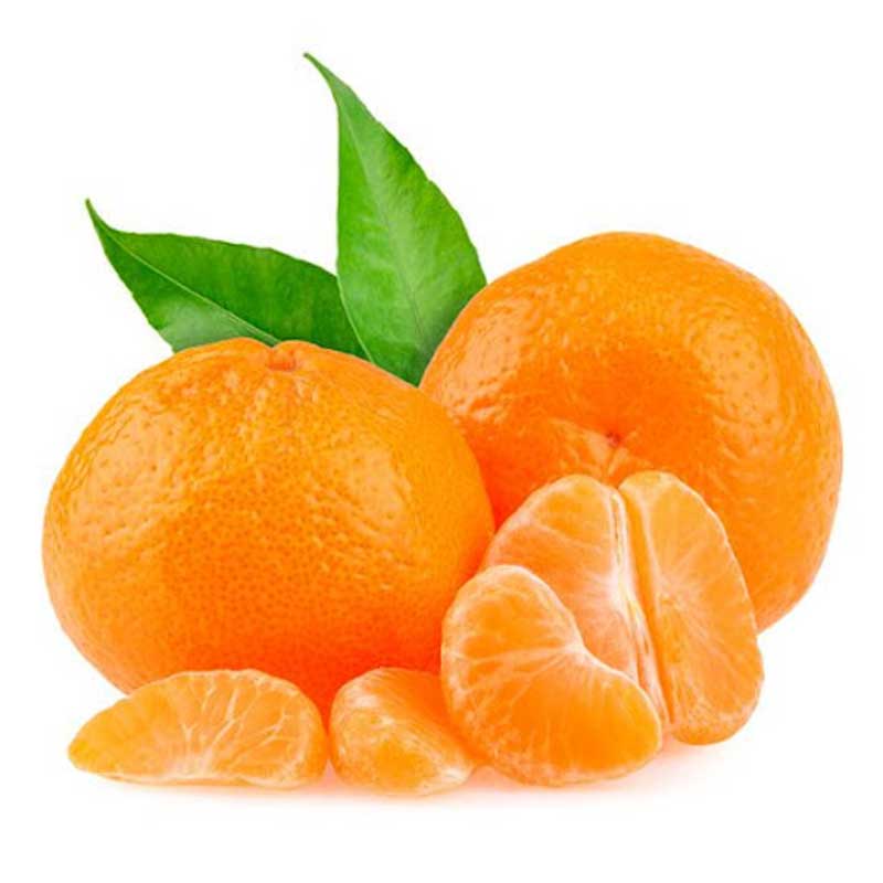 MANDARIN NOVA
