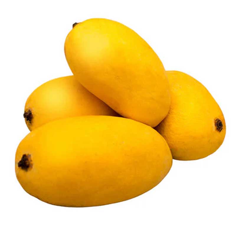 MANGO CHOUNSA