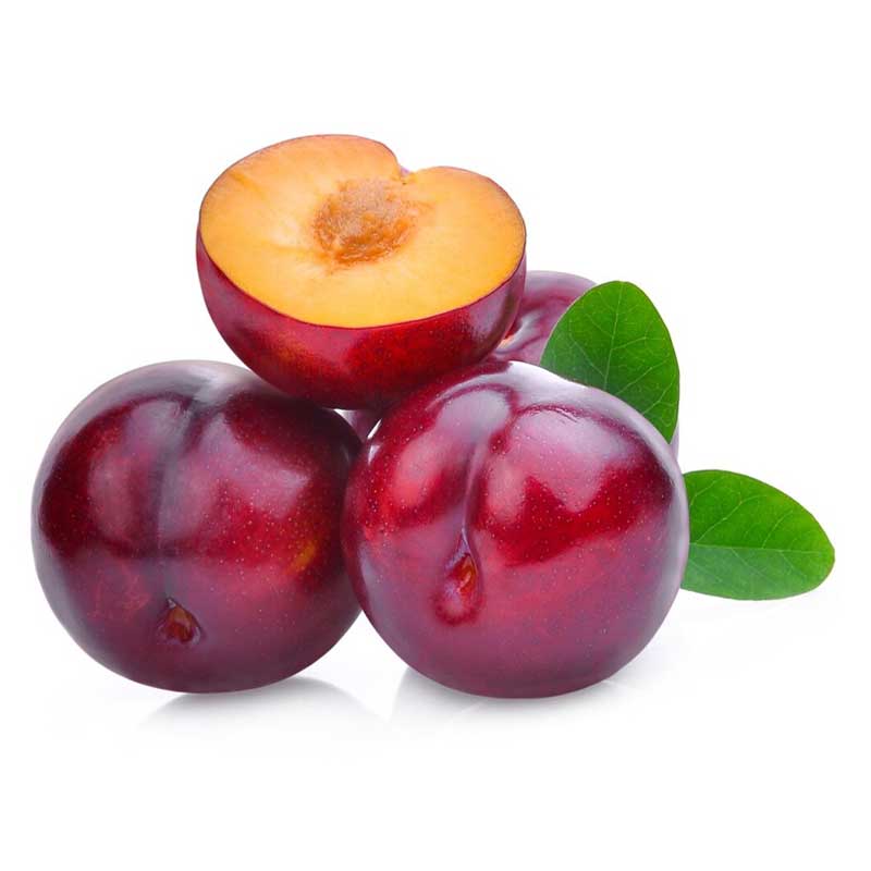 PLUMS RED