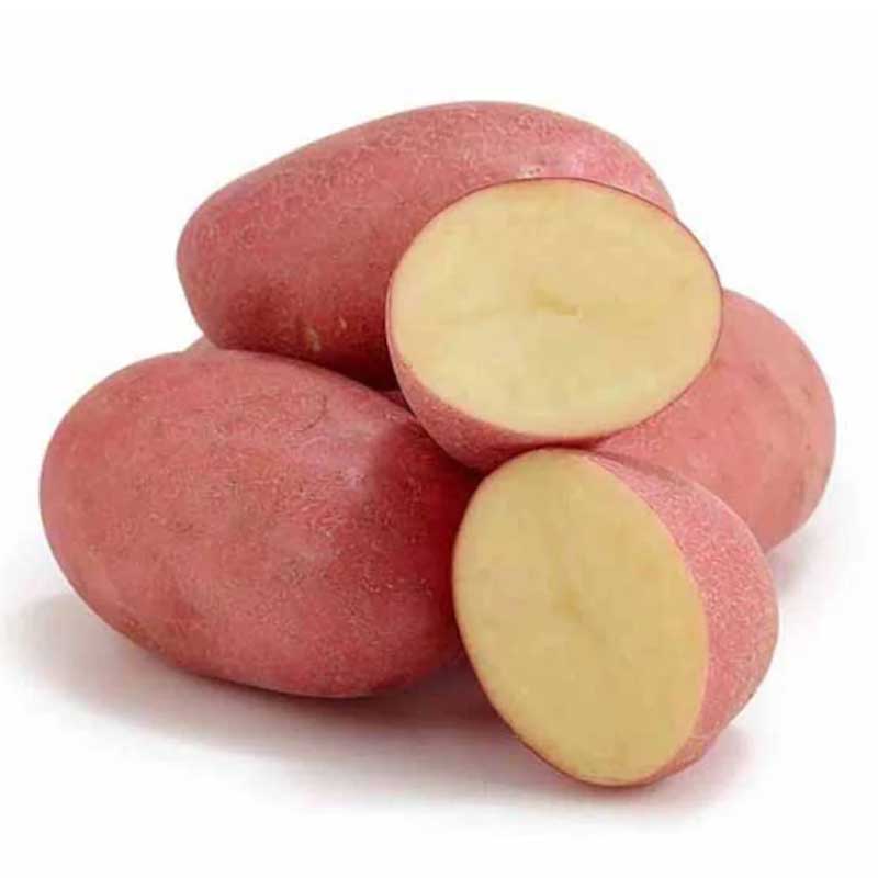 BABY POTATO RED