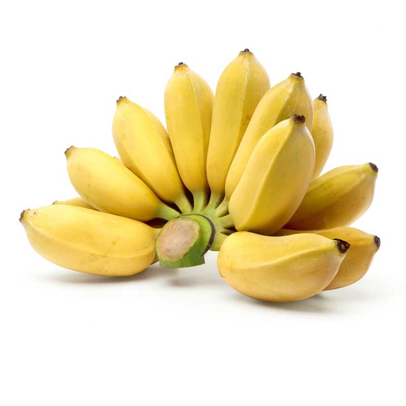 BANANA SMALL