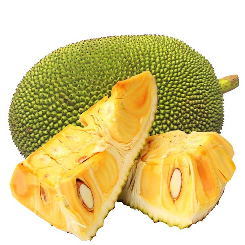 JACKFRUIT INDIA KG