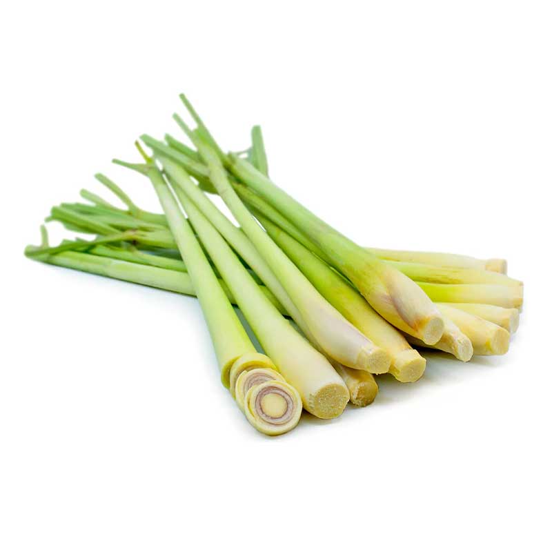 LEMON GRASS