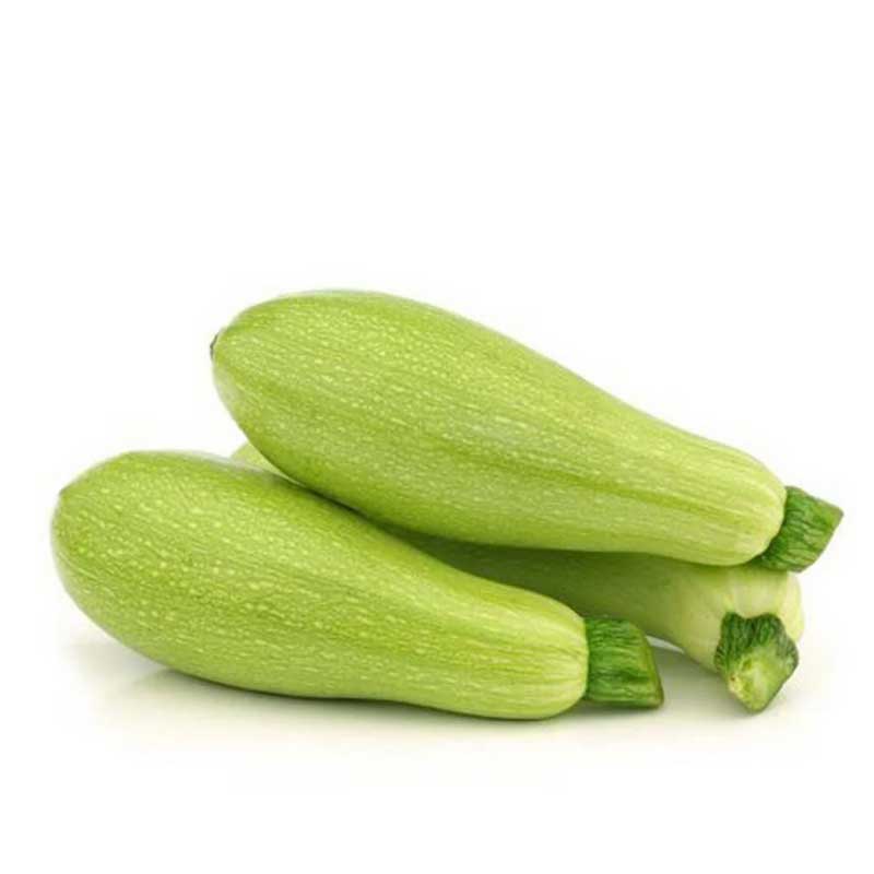 MARROW(KOOSA)