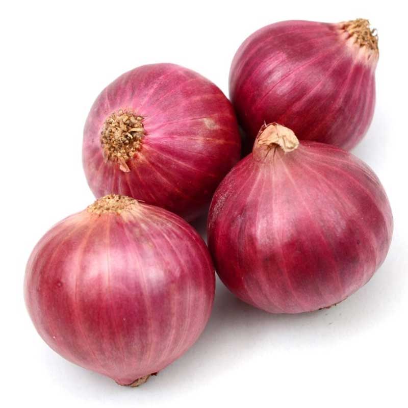 ONION INDIA