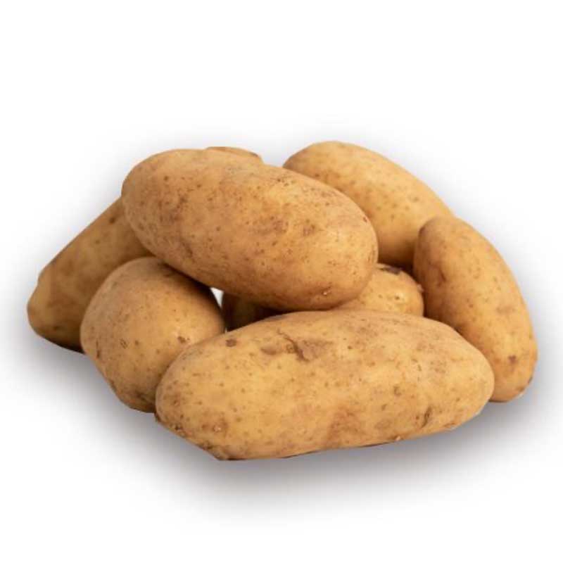 POTATO EGYPT SAND