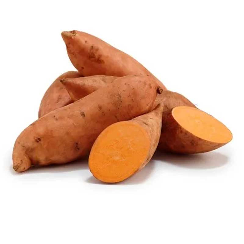 SWEET POTATO EGYPT