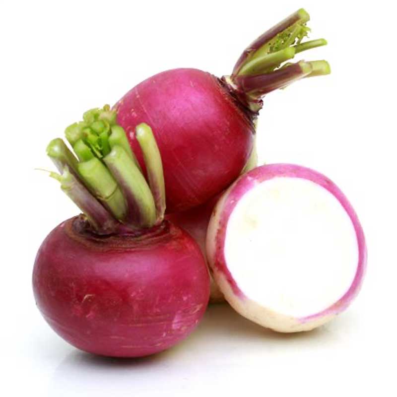 TURNIP (SHELGUM)