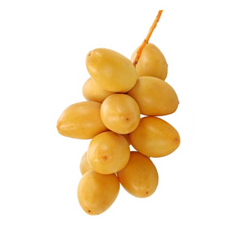FRESH DATES