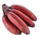 [0100021921] BANANA RED POOVAN