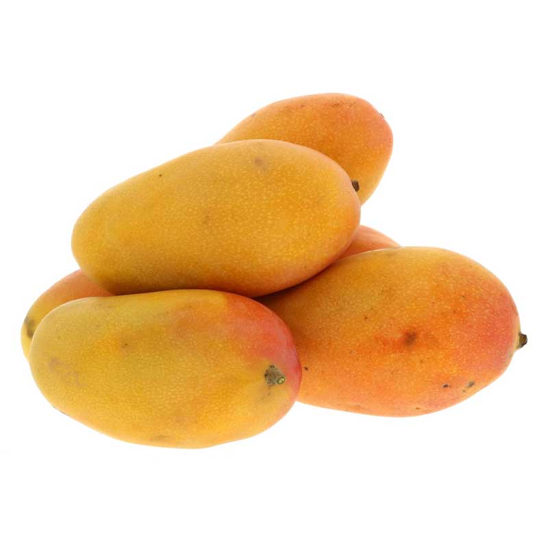 MANGO YEMEN