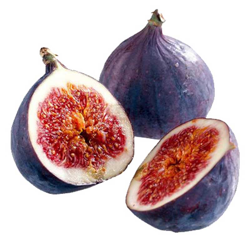 FRESH FIG PKT