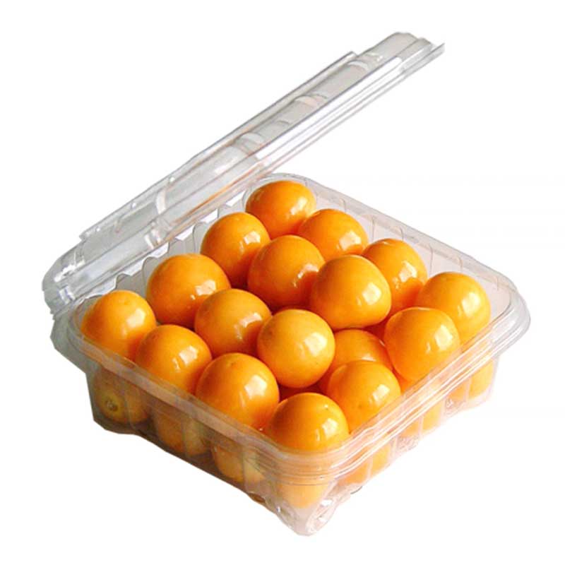 GOLDEN BERRY PKT