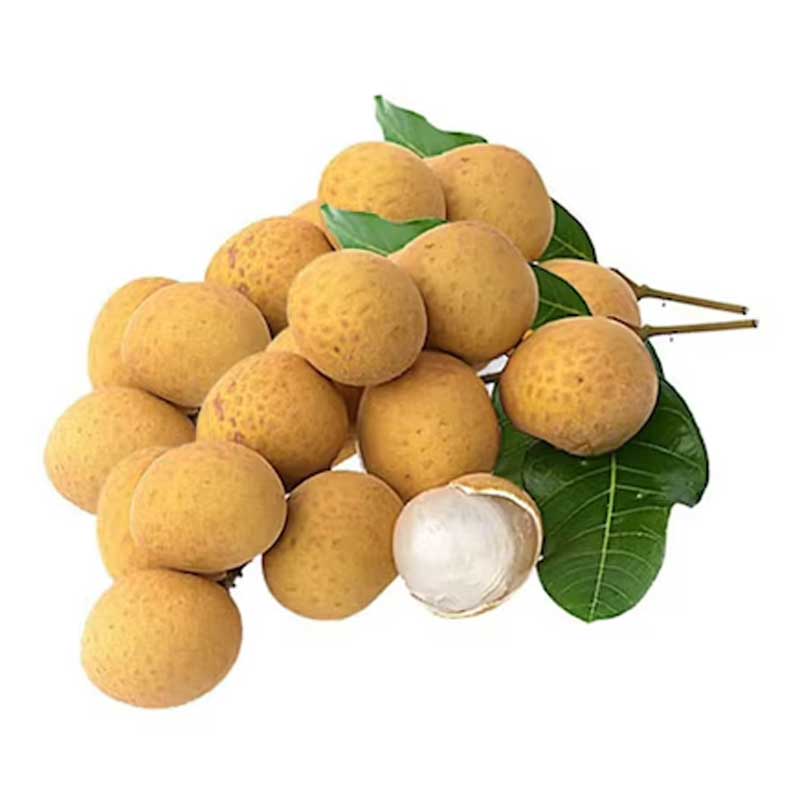 LONGAN VIETNAM PKT