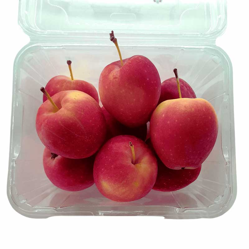 APPLE PKT