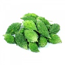 [0100021811] BITTER GOURD