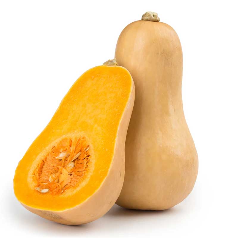 BUTTER NUT PUMPKIN