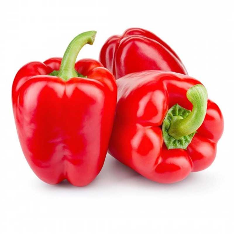 CAPSICUM RED