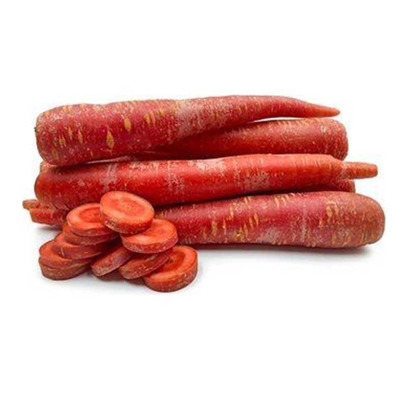 CARROT INDIA