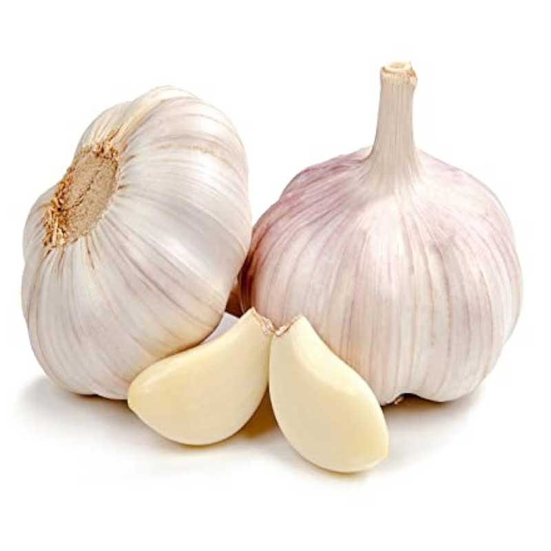 GARLIC CHINA