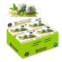 [0100004429] BANARASI MINT 1X12PC