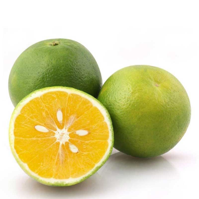 RUBA MOSAMBI INDIA (AIR)