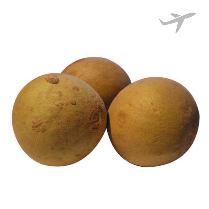 RUBA CHICKOO INDIA (AIR)