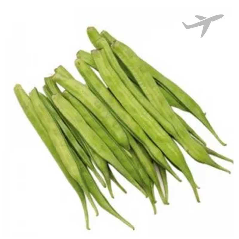 RUBA GWAR INDIA (AIR)