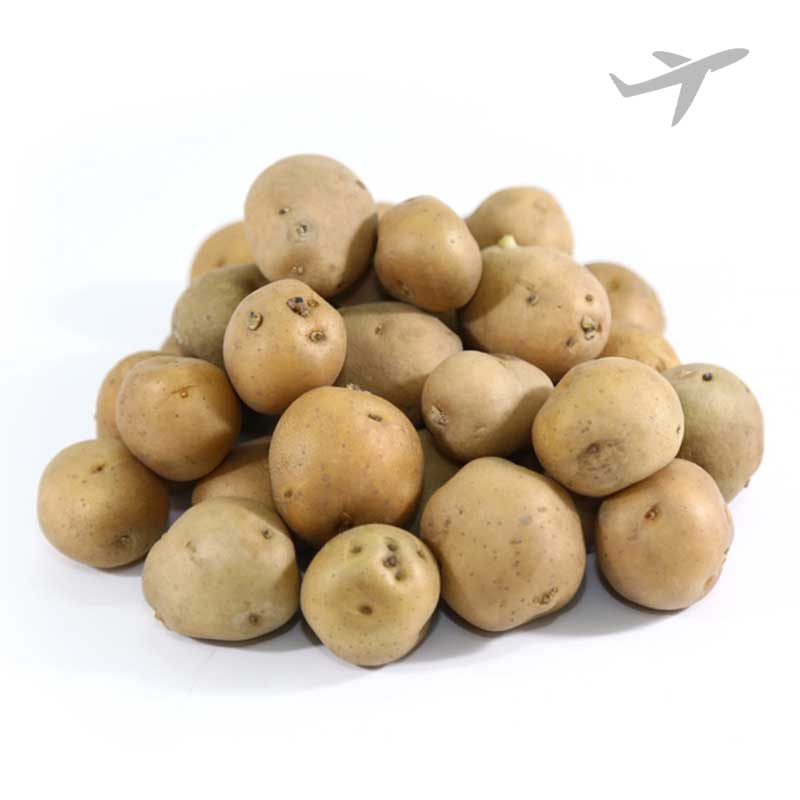 RUBA BABY POTATO INDIA (AIR)