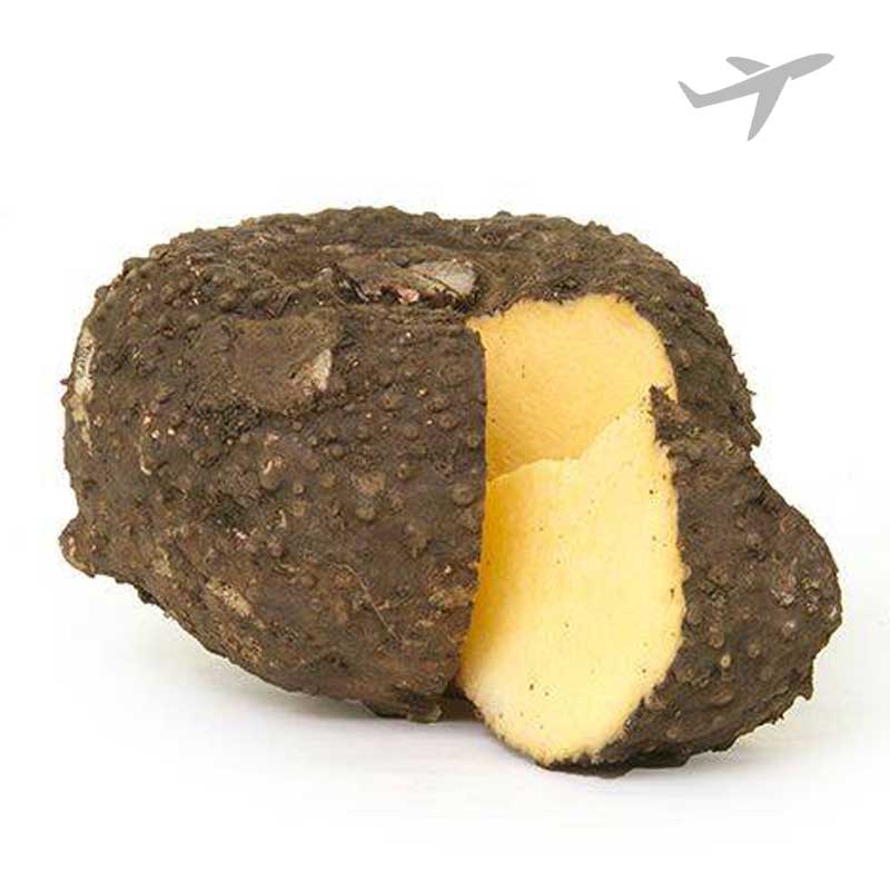 RUBA SURAN INDIA KGS