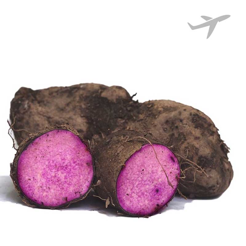 RUBA PURPLE YAM KGS