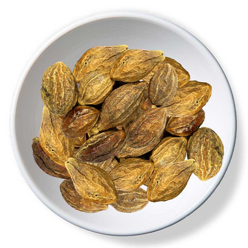 H HARIR YELLOW LARGE