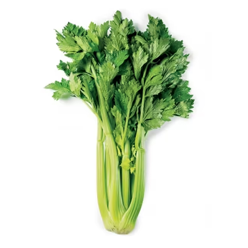 CELERY LEAVES