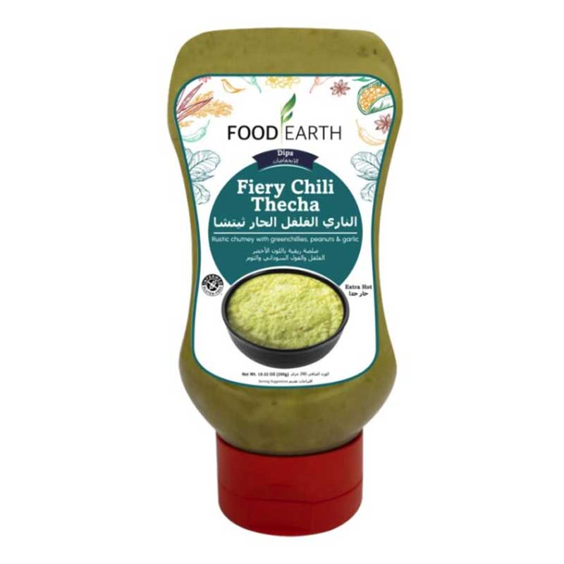 FOOD EARTH FIERY CHILLI THECHA 290GM