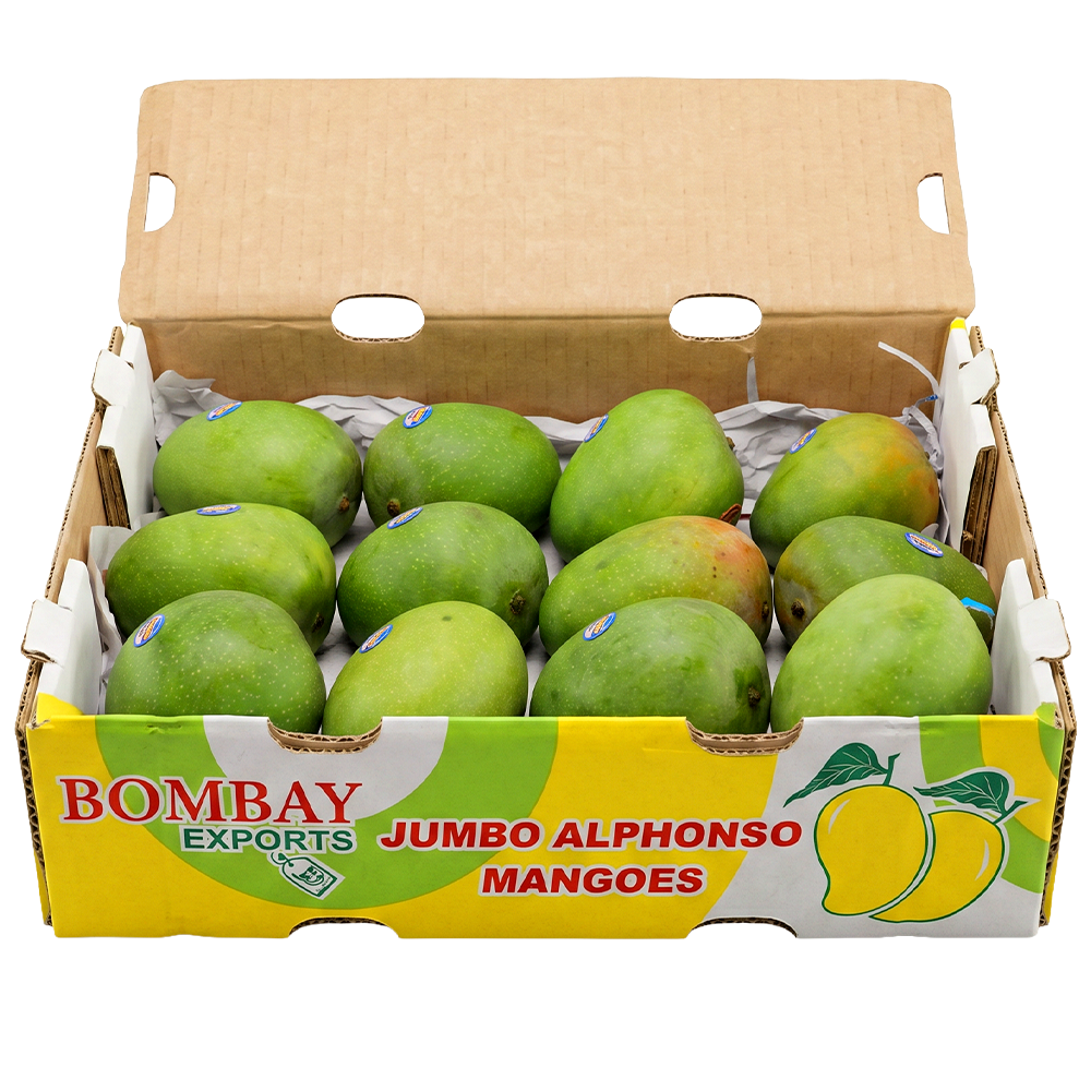 RTC ALPHONSO MANGO DAISY 12PCS