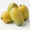 [0100028320] MANGO MALLIKA KGS