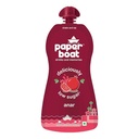 [0100028427] PAPER BOAT ANAR 200ML