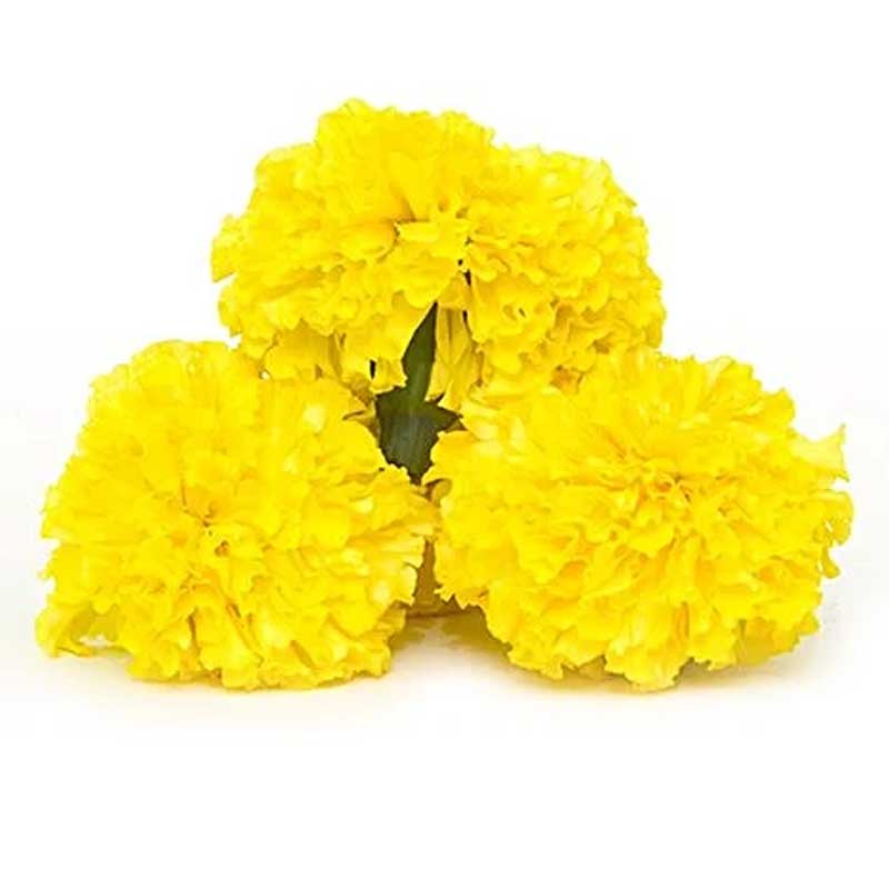 RUBA MARIGOLD YELLOW /Kg