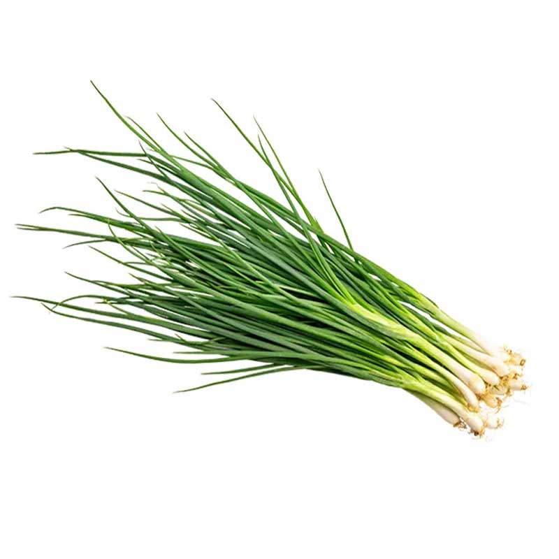 SPRING ONION LEAVES 1PC
